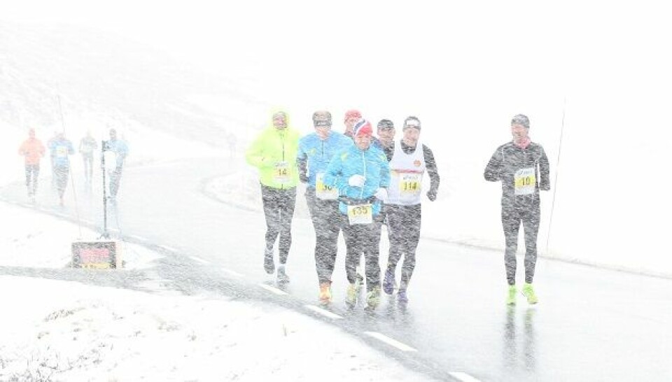 Vinterlig fjellmaraton på Beitostølen- oppdatert med flere bilder IMG_0580_snokav.jpg