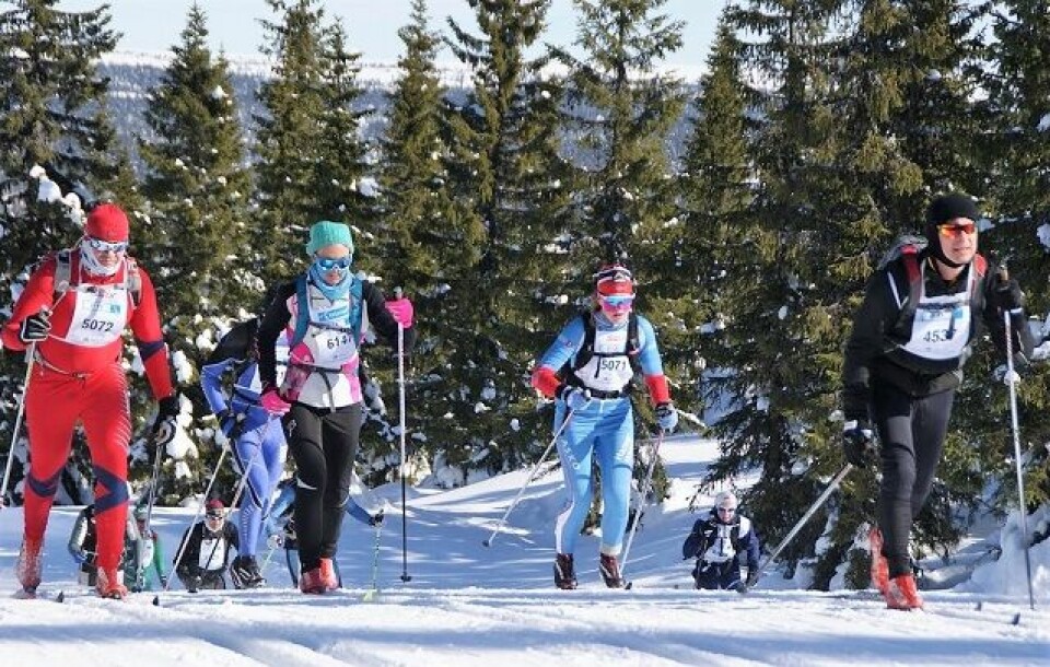 Birkebeinere av alle slag kledde Kvarstadsæterlia i sin fulle bredde godt kledt og med fargesprakende kinesotape i ansiket. (Foto: Stein Arne Negård) Birkebeinere av alle slag kledde Kvarstadsæterlia i sin fulle bredde godt kledt og med fargesprakende kinesotape i ansiket. (Foto: Stein Arne Negård)
