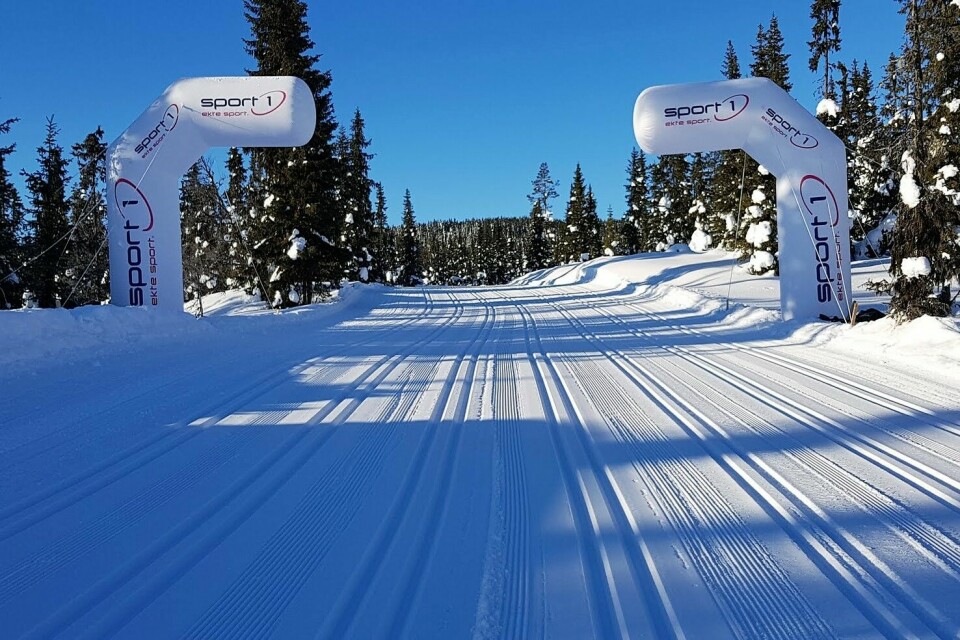 Birken 2018 - det året det var så flott - og trått Trikkeskinner.jpg