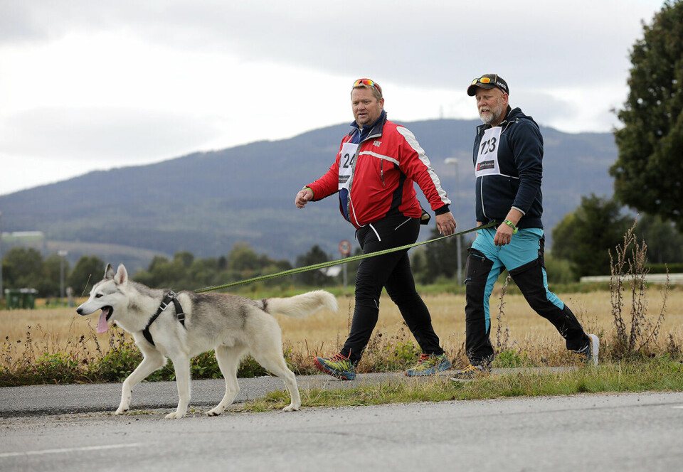 Marte Kjøren og Bård Gunnar Brun vant Skovseth'n i Eidsvoll Luftet hunden - Jan Rune Hundedrahjelp.jpg