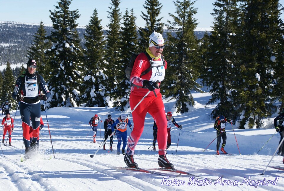 Birken 2018 - det året det var så flott - og trått Uten_arm.jpg