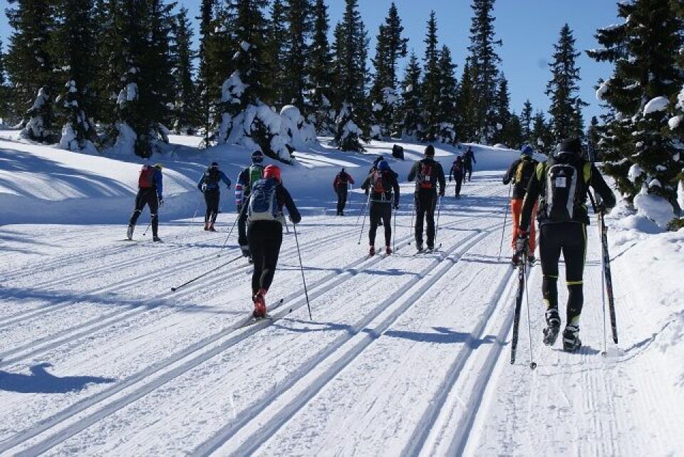 Birken 2018 - det året det var så flott - og trått Uten_ski.jpg