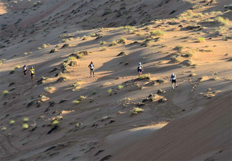 Sjetteplass sammenlagt for Sondre Amdahl i Oman Desert Marathon Oerken.jpg