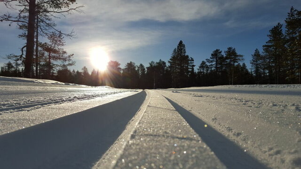 Halvert turrenndeltakelse i Hedmark i 2016 Skispor_Gaasbu_640x360.jpg