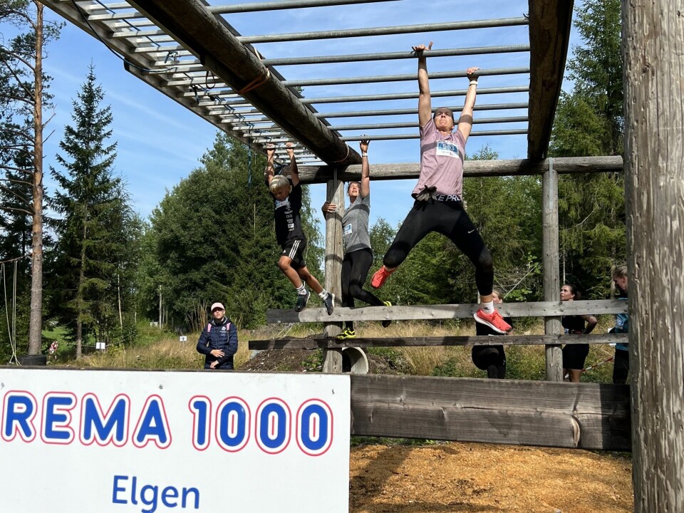 Krevende løyper i Forest Run i Elverum Monkey bars.jpeg