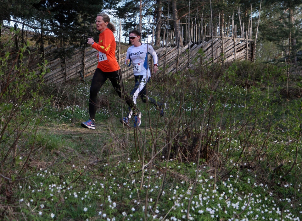 Et fantastisk Maihaugløp med nok en deltakerrekord 05 IMG_9166 – Kopi.jpg