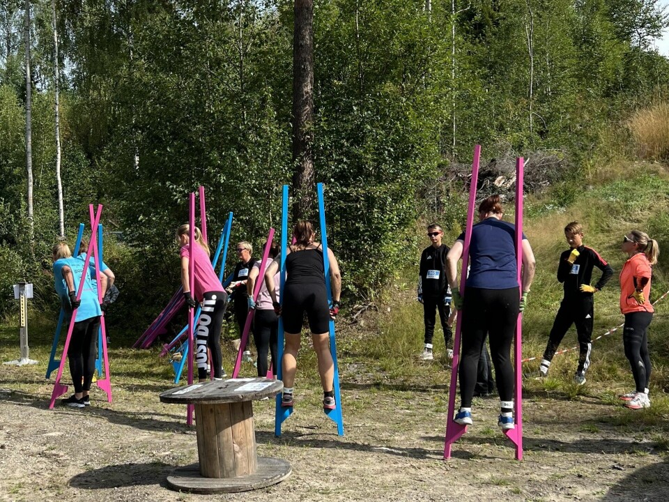 Krevende løyper i Forest Run i Elverum Stylte-hinder.jpeg