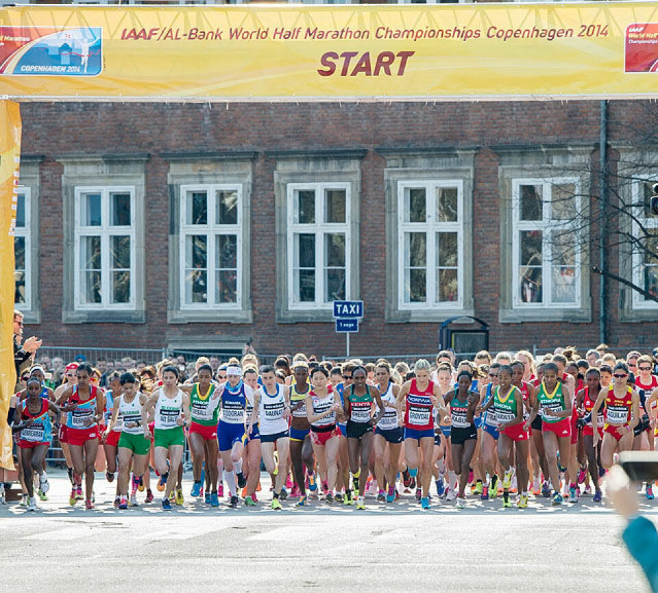 Mange gode norske tider i VM i halvmaraton i København Start_damer_Lars_Moeller_20140329 VM Halvmaraton 104.jpg