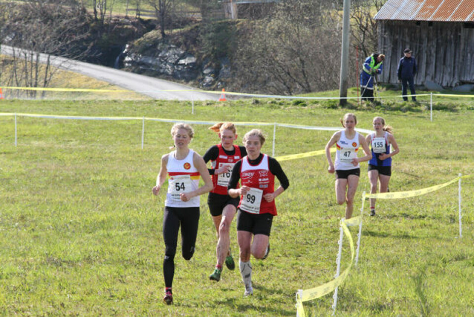 Praktfullt terreng-NM i Strandebarm.