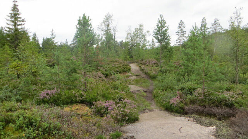 BLOGG: Soria Moria til Verdens Ende 100 Miles på terrengsykkel
