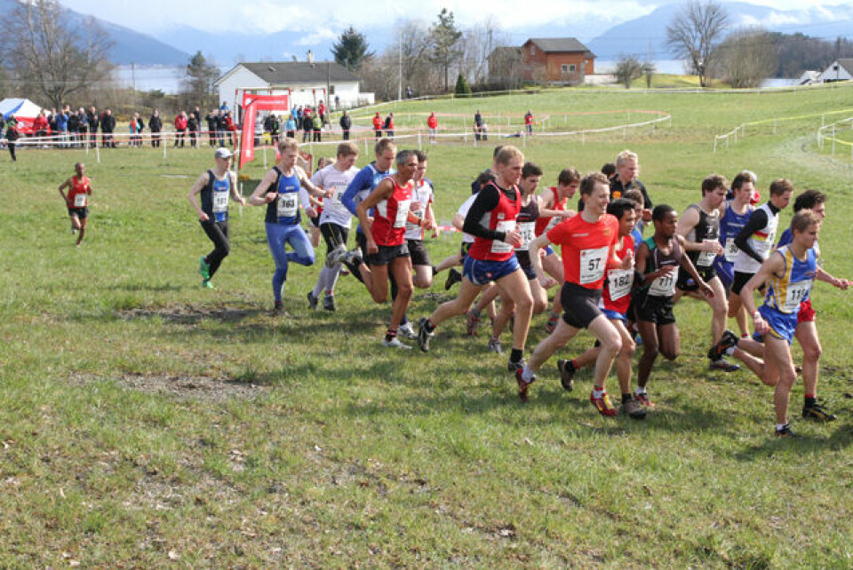 Praktfullt terreng-NM i Strandebarm.