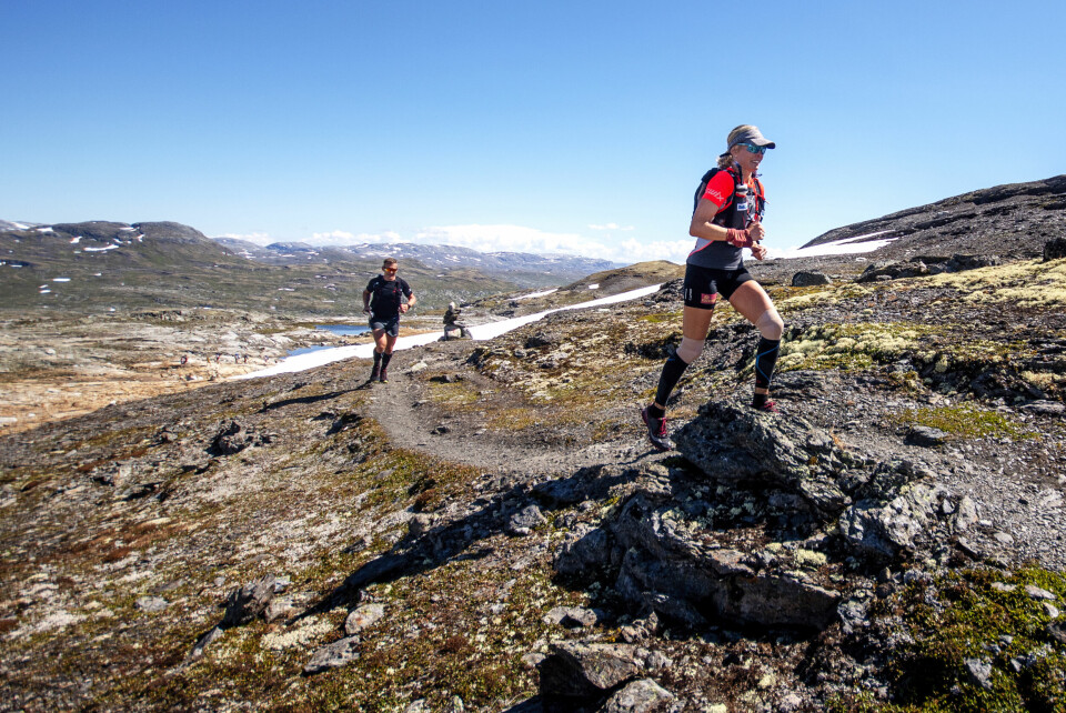 Vellykket testløp for Hardangerjøkulen Ultra _KAI7983.jpg