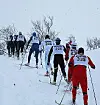 Kvaloeya_Skimaraton_Bakke_opp_ingress_330pix