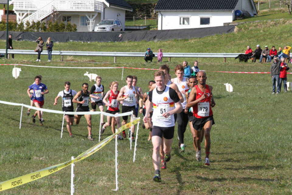 Praktfullt terreng-NM i Strandebarm.