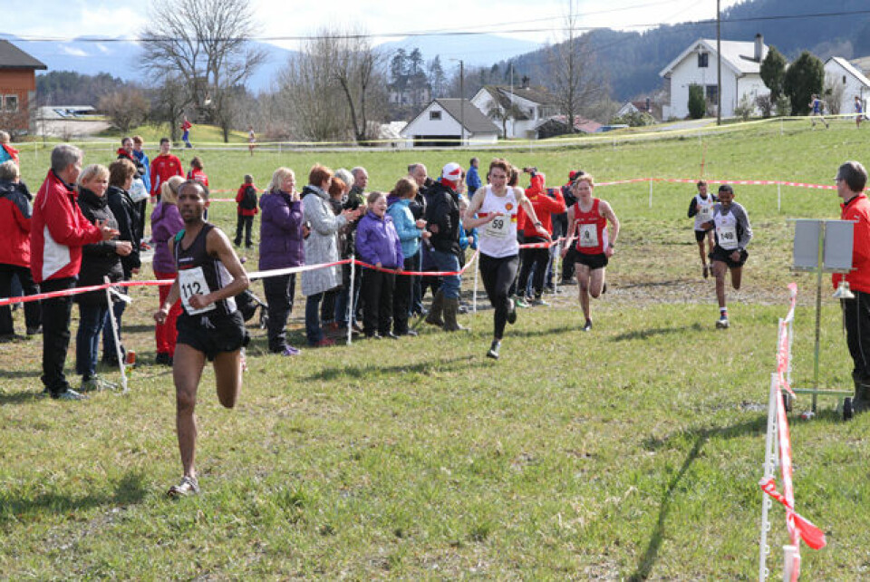 Praktfullt terreng-NM i Strandebarm.