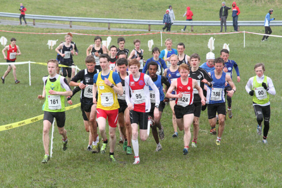 Praktfullt terreng-NM i Strandebarm.