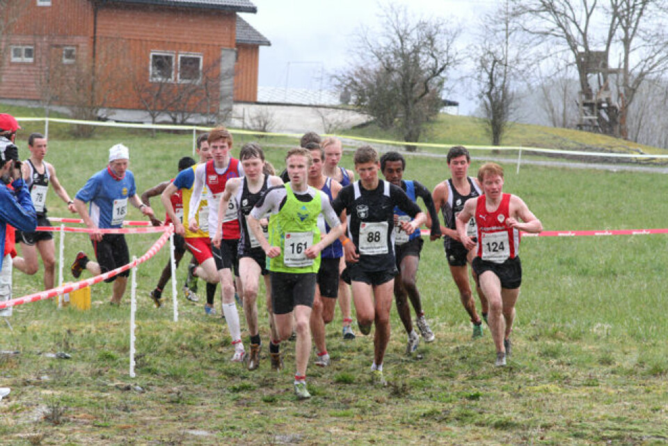 Praktfullt terreng-NM i Strandebarm.