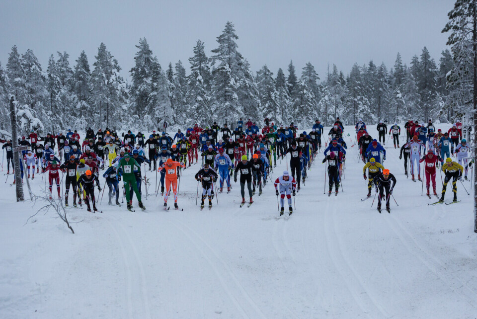 Fra starten på fjorårets Trysil-Knut-renn som pga. snømangel måtte flyttes til Flishøgda. (Foto: Jens Petter Larsen) Fra starten på fjorårets Trysil-Knut-renn som pga. snømangel måtte flyttes til Flishøgda. (Foto: Jens Petter Larsen)