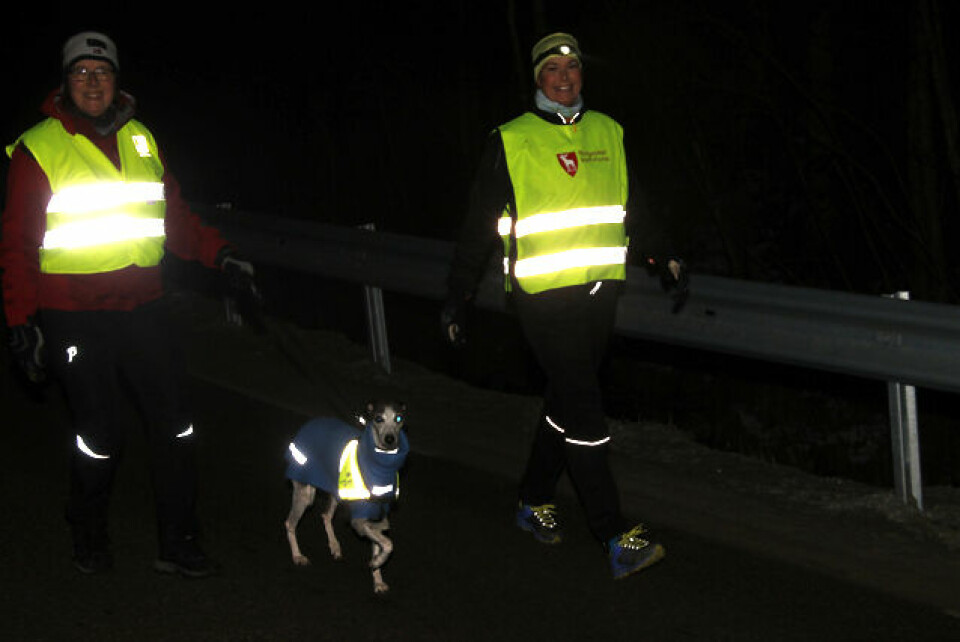 Julestemning og raske opplendinger i Snøkuten Damer_med_hund.jpg