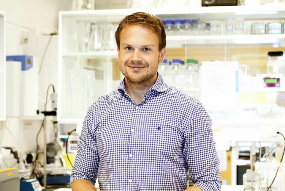 Flere får kreft: Det er flere som får kreft nå enn tidligere. Økt aktivitet reduserer risikoen i følge forsker Tormod Skogstad Nilsen. Foto: NIH/Yvonne Haugen Tormod Skogstad Nilsen