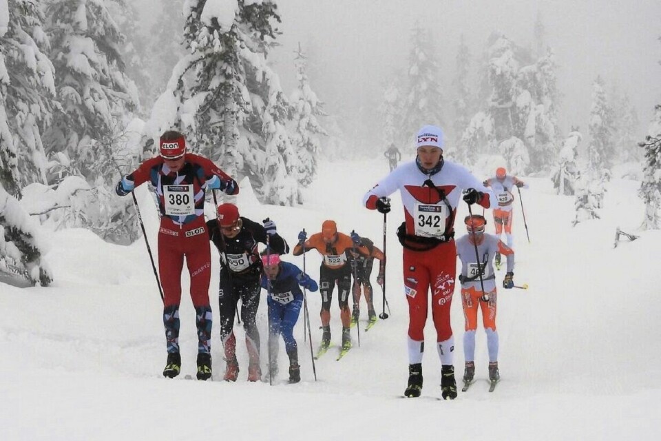 Med Budorrennet 6. januar er sesongens tilskudd til turrennsesongen en realitet. Bildet er fra tetgruppa ut fra start i Budorrennet sist vinter. (Foto: Stein Arne Negård) Med Budorrennet 6. januar er sesongens tilskudd til turrennsesongen en realitet. Bildet er fra tetgruppa ut fra start i Budorrennet sist vinter. (Foto: Stein Arne Negård)