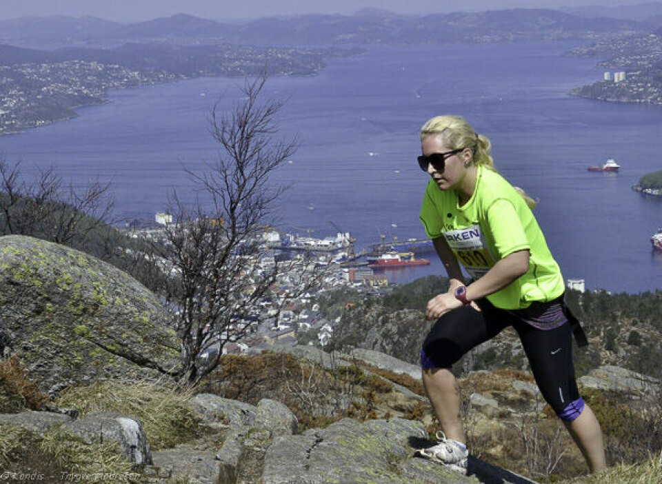 Sommer under Løvstakken opp