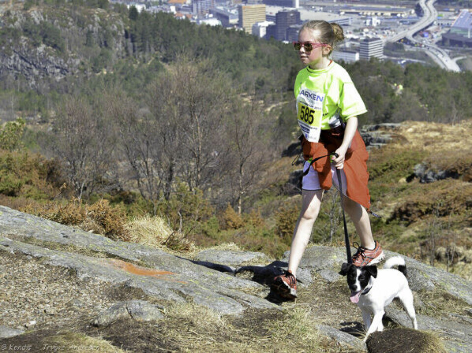 Sommer under Løvstakken opp