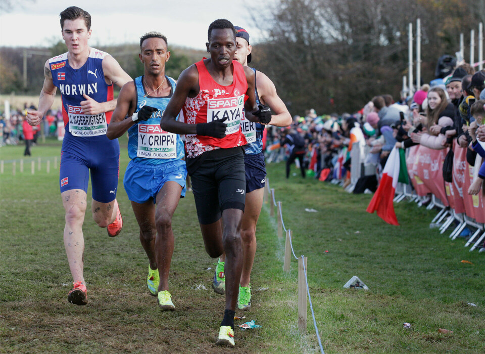 Jakob Ingebrigtsen med stålkontroll på EM-gullet ingebrigtsen_crippa_kaya_gressier_F6C3487.jpg