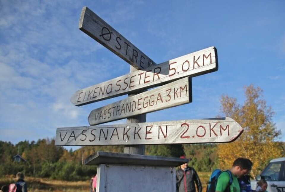 Suksess for veldedighetsløp i Ålesund Skilt_foto_Martin.jpg