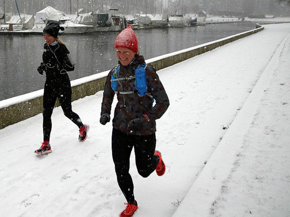 Vinteren kom med Ribbemaraton Langsd_havkanten_IMG_3024.jpg