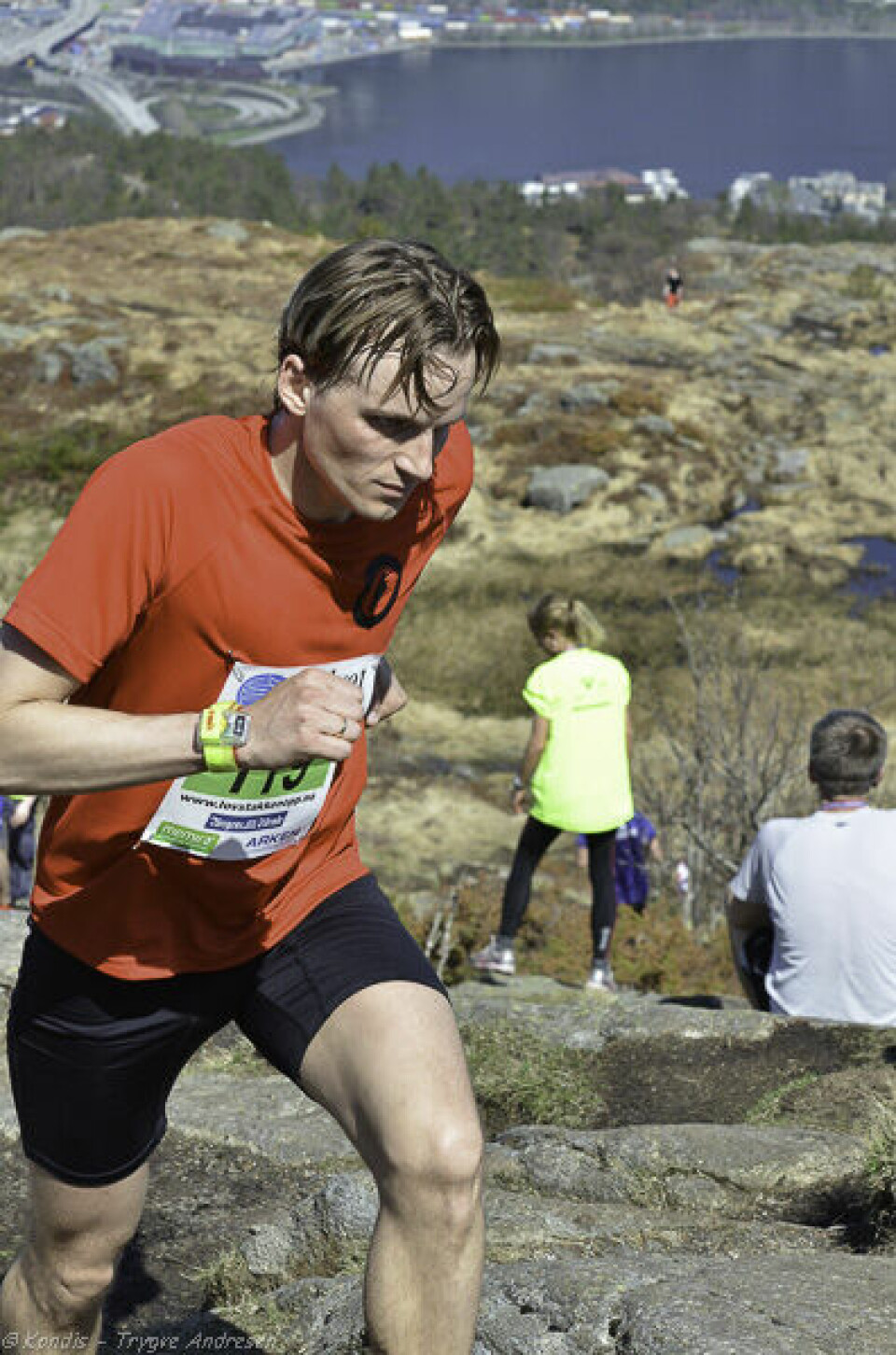 Sommer under Løvstakken opp