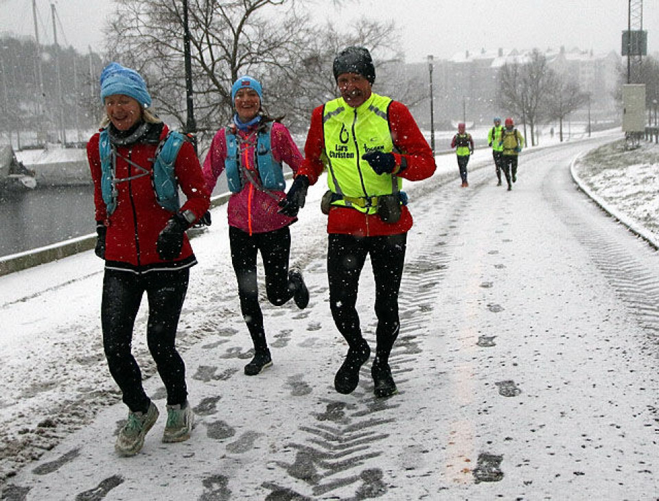 Vinteren kom med Ribbemaraton Tre_Blaaluer_IMG_2987.jpg