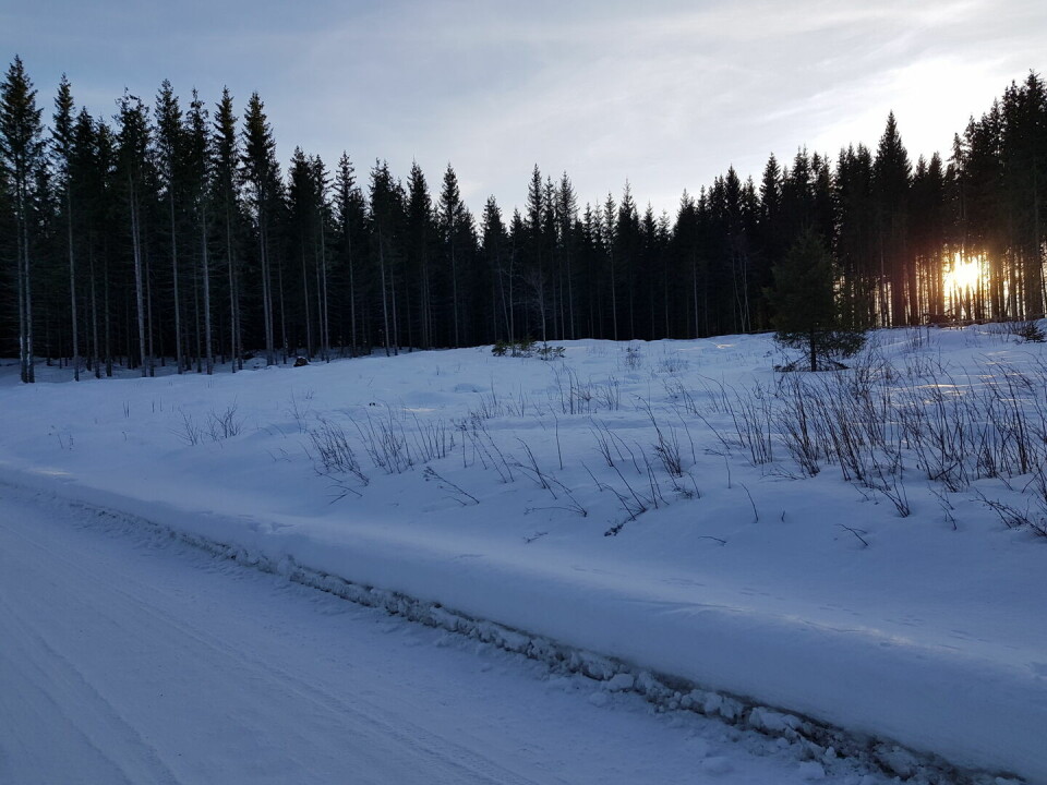 Snøkuten avsluttet den 43. sesongen med 63 deltakere Kaashagarunden-mars (1).jpg
