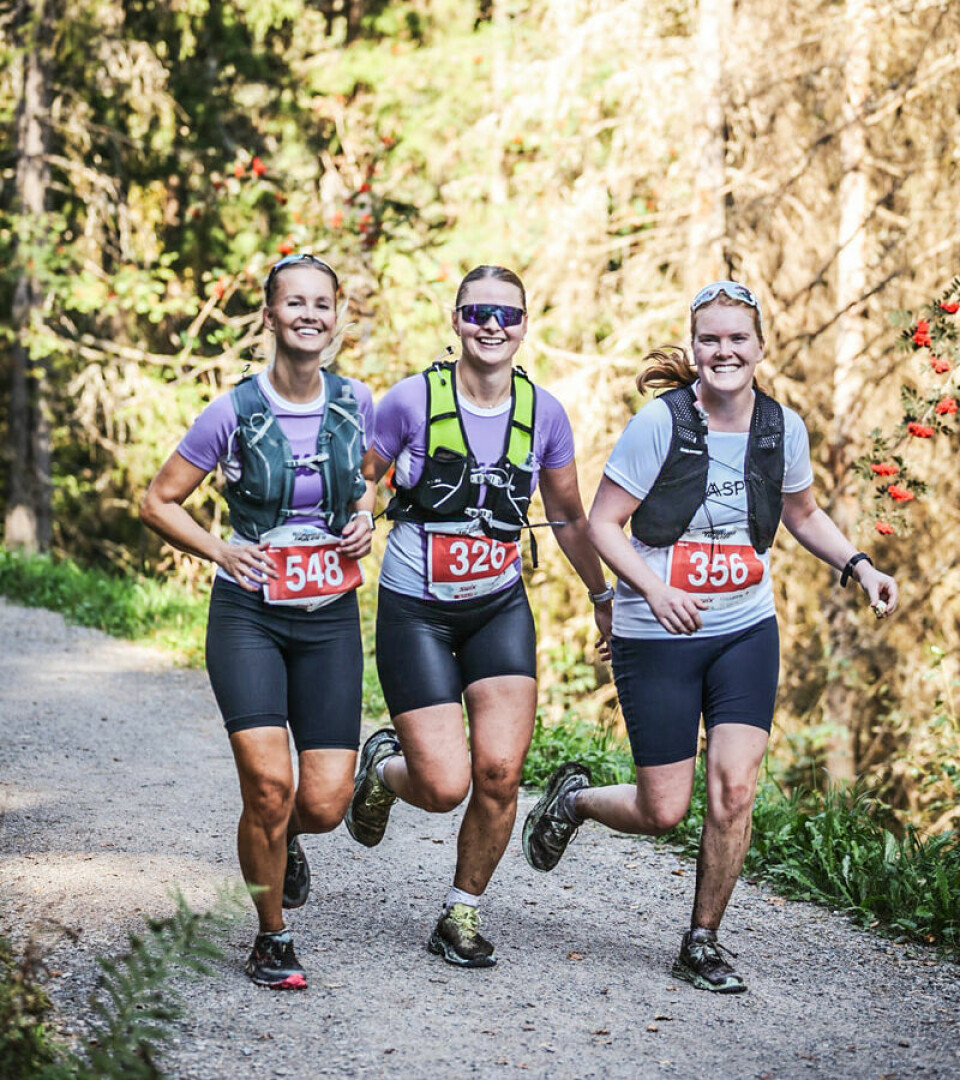En skogsløpingens festdag da over 1200 trava gjennom Nordmarka Heltravertrio.jpg