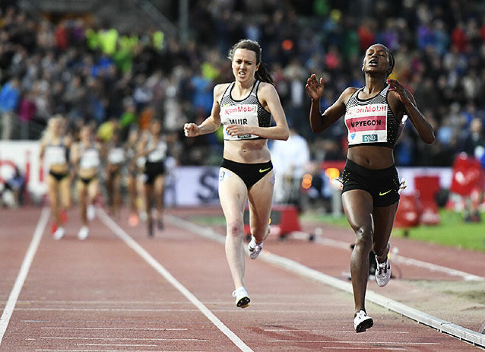Kjempespurt og norsk rekord av Karoline Bjerkeli Grøvdal på 1 mile mile-kv-muir-kipyego-maalgang_50D1362.jpg