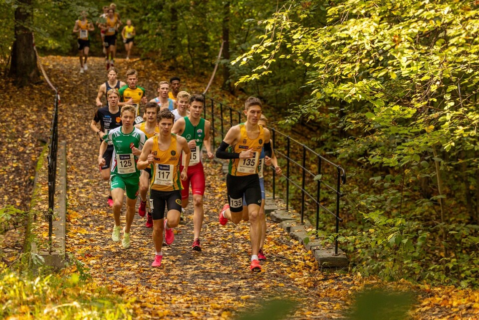Norgesmester Andreas Fjeld Halvorsen (til høyre) i front på juniorenes 6 km side om side med klubbkameraten i Ullensaker/Kisa IL, Simen Gløgård Stensrud som tok bronsen, i Frognerparken søndag. (Foto: Samuel Hafsahl) Norgesmester Andreas Fjeld Halvorsen (til høyre) i front på juniorenes 6 km side om side med klubbkameraten i Ullensaker/Kisa IL, Simen Gløgård Stensrud som tok bronsen, i Frognerparken søndag. (Foto: Samuel Hafsahl)