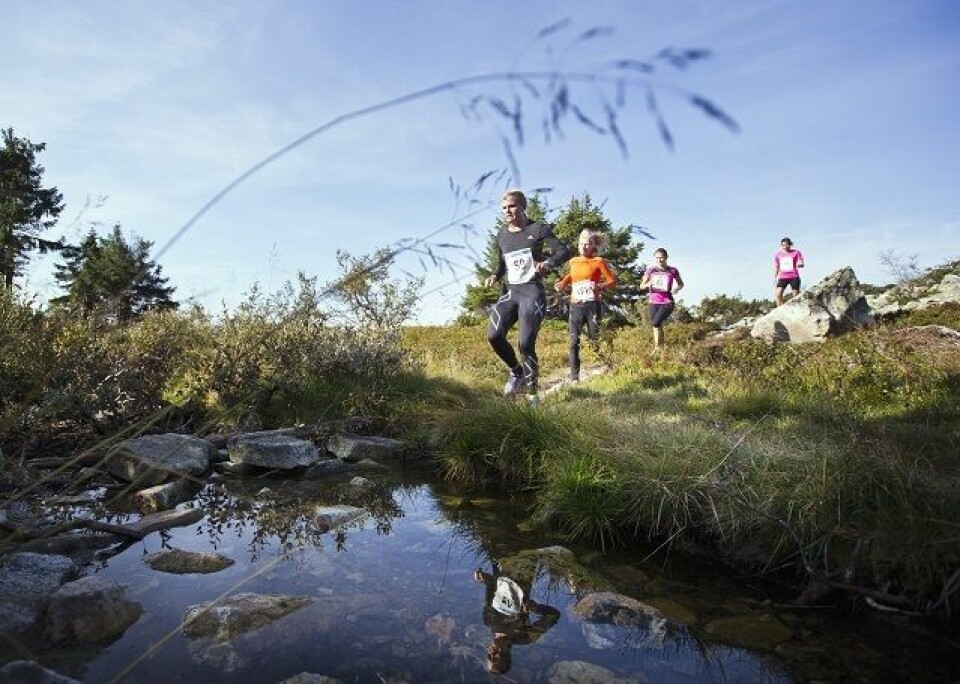 Stabil løpsdeltakelse i Hedmark i 2017 Tøffe_Trysilryper.jpg