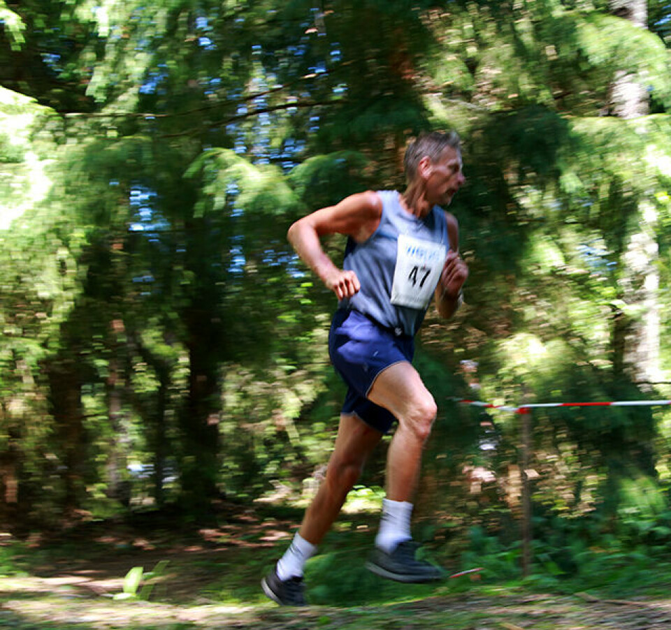 En solskinnshistorie med løyperekorder på Rømskog Tom_Sognlien_IMG_3882.jpg