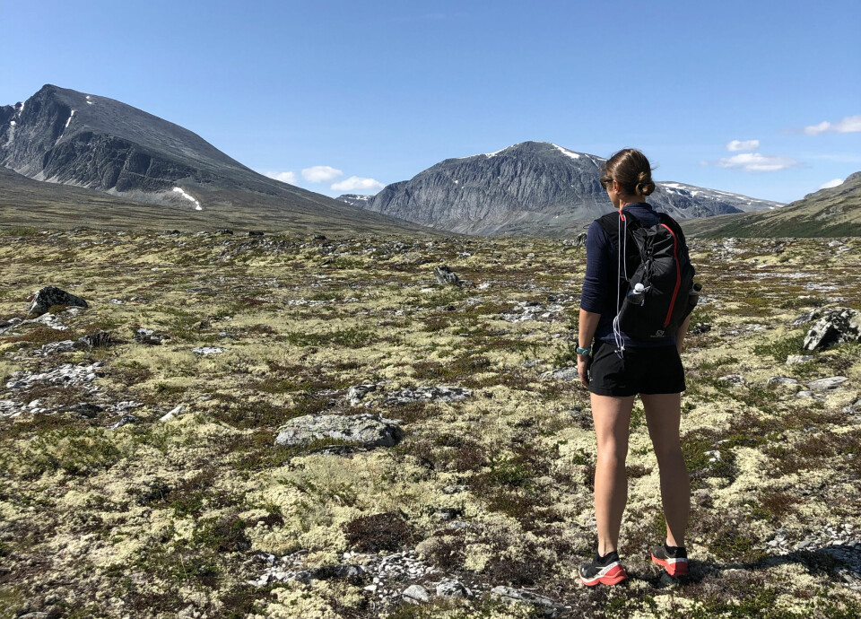 Inger Haugland fra Folldal skuer utover mot løpsterrenget der hun selv skal løpe 100 miles i august. (Foto: Erik Haugland) Inger Haugland fra Folldal skuer utover mot løpsterrenget der hun selv skal løpe 100 miles i august. (Foto: Erik Haugland)