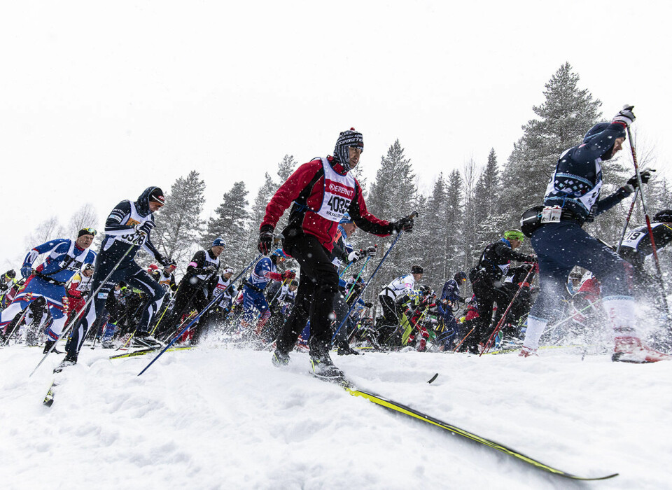 Lenge så det ut til at årets Vasalopp skulle gå på en slange av kunstsnø, men natta før selve loppet begynte snøen å lave ned. (Foto: Vasaloppet) Lenge så det ut til at årets Vasalopp skulle gå på en slange av kunstsnø, men natta før selve loppet begynte snøen å lave ned. (Foto: Vasaloppet)