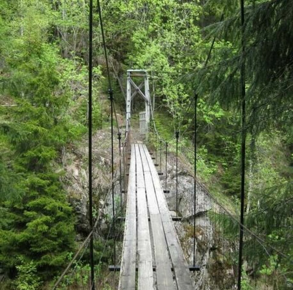 Tør du løpe Nordmarka Ultra Challenge?