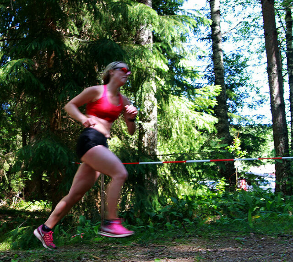 En solskinnshistorie med løyperekorder på Rømskog uten_nummer_IMG_3889.jpg