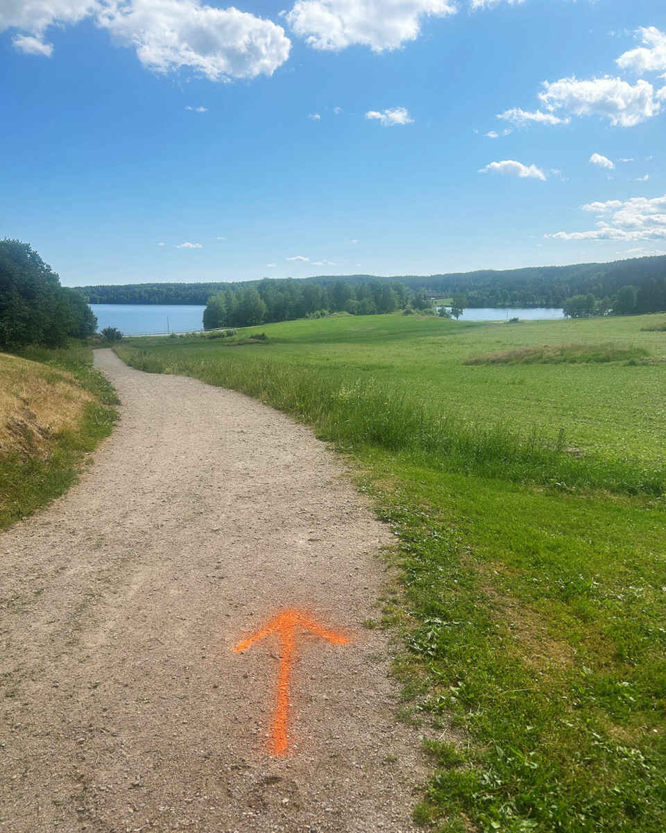 St. Hansgaloppen i den fagre Maridalen går for 38. gang på fredag St-Hansgaloppen-trase-foto-arrangoer-1280.jpg
