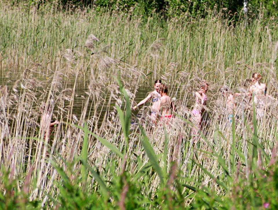 En solskinnshistorie med løyperekorder på Rømskog bading_IMG_3925.jpg