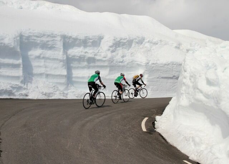 Ingrid Lorvik satte løyperekord i Nibberittet Hoege_broeytekanter