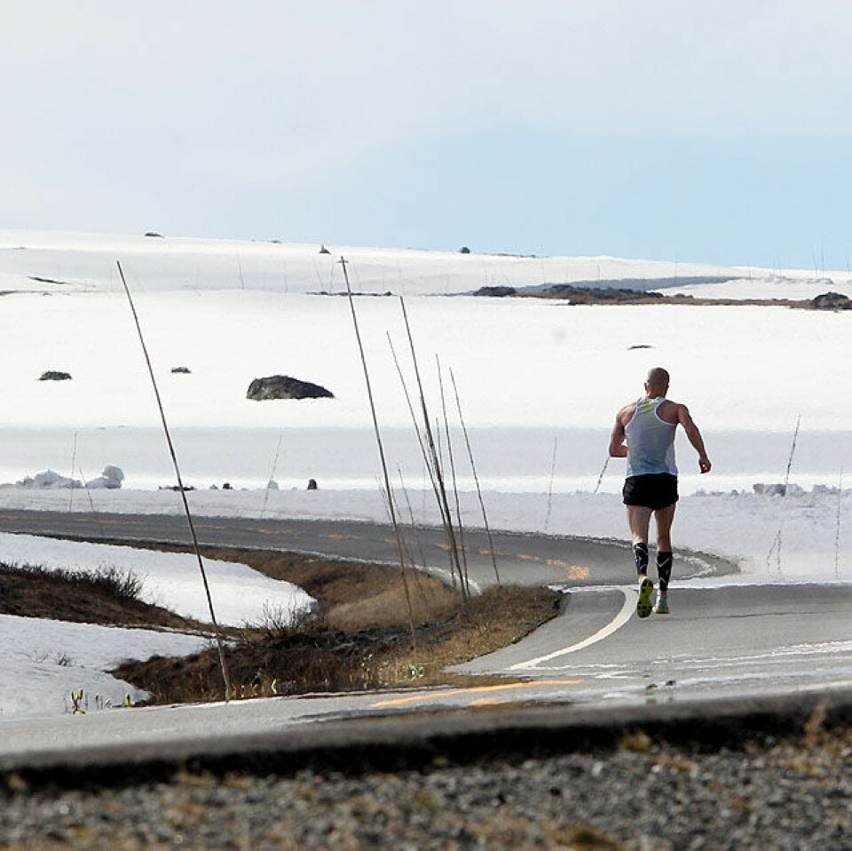 Sol, sommer og Fjellmaraton Mot_toppen_av_Flya_A20G5173.jpg
