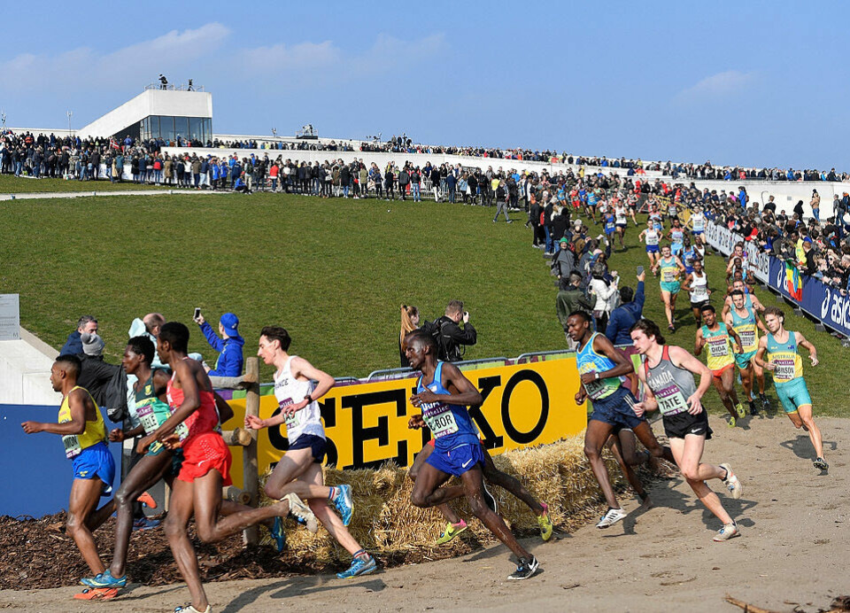 Da VM terrengløp sist gang ble arrangert, i Århus i 2019, ble mesterskapet et folkefest. I 2022 skal også veteranene inkluderes. (Foto: Lars Møller) Da VM terrengløp sist gang ble arrangert, i Århus i 2019, ble mesterskapet et folkefest. I 2022 skal også veteranene inkluderes. (Foto: Lars Møller)
