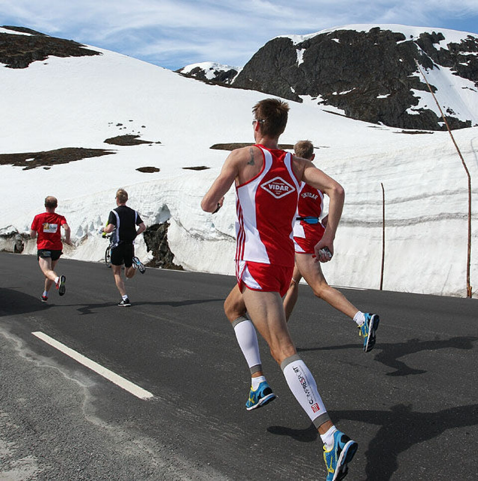 Fjellmaraton fra start til mål med 98 solskinnsbilder! Unna_vid_sne_fire_loepereA20G6169.jpg