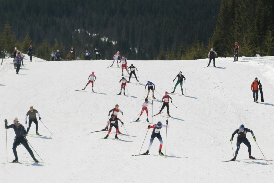 Fra starten for 13-åringene midt i Birkebeinerbakken, også kalt Monsterbakken, på Sjusjøen påskeaften. (Foto: Rolf Bakken) Fra starten for 13-åringene midt i Birkebeinerbakken, også kalt Monsterbakken, på Sjusjøen påskeaften. (Foto: Rolf Bakken)