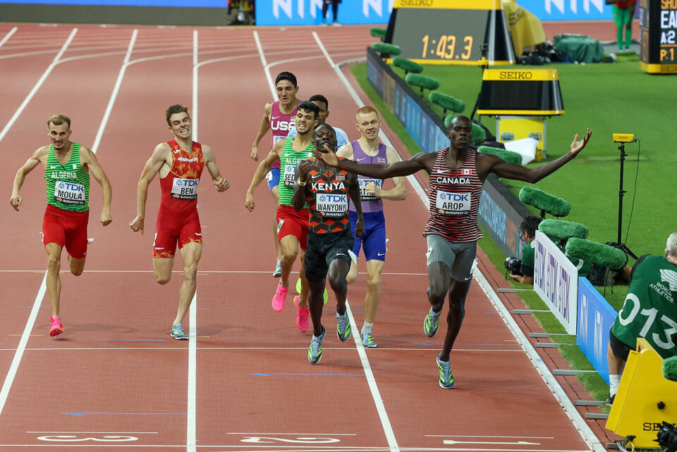 Lett og elegant seier for canadiske Marco Arop på 800 m 1U9A6523_Målgang.jpg